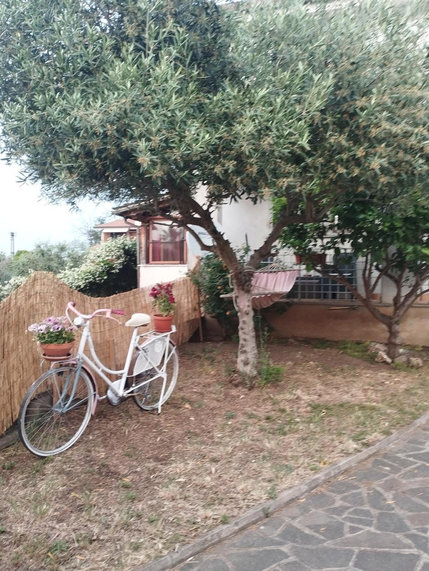 Quarto em Acomodações Particulares Elena House *